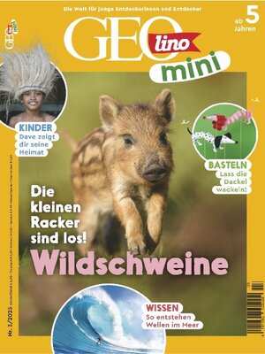 cover image of GEOmini